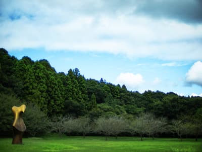 後鳥羽上皇に京都に帰るのは諦めて東京に移住しては？と提案したら「都と言っても歴史が浅すぎてなあ。そのへんのカフェの電源とかでも、もしかしたら柿本人麻呂がスマホを充電したかも…みたいなロマンがないのはショボい。」などと言うのだが、流石に京都でも7世紀のコンセントは残ってないと思う。