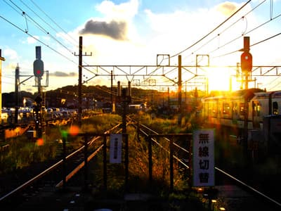 ゴルフの風評被害ばかりが取り沙汰されがちだが、靴下業界からも、靴下はゴルフボールを詰めるためのものではない、といった声明を出すべきではないか。
