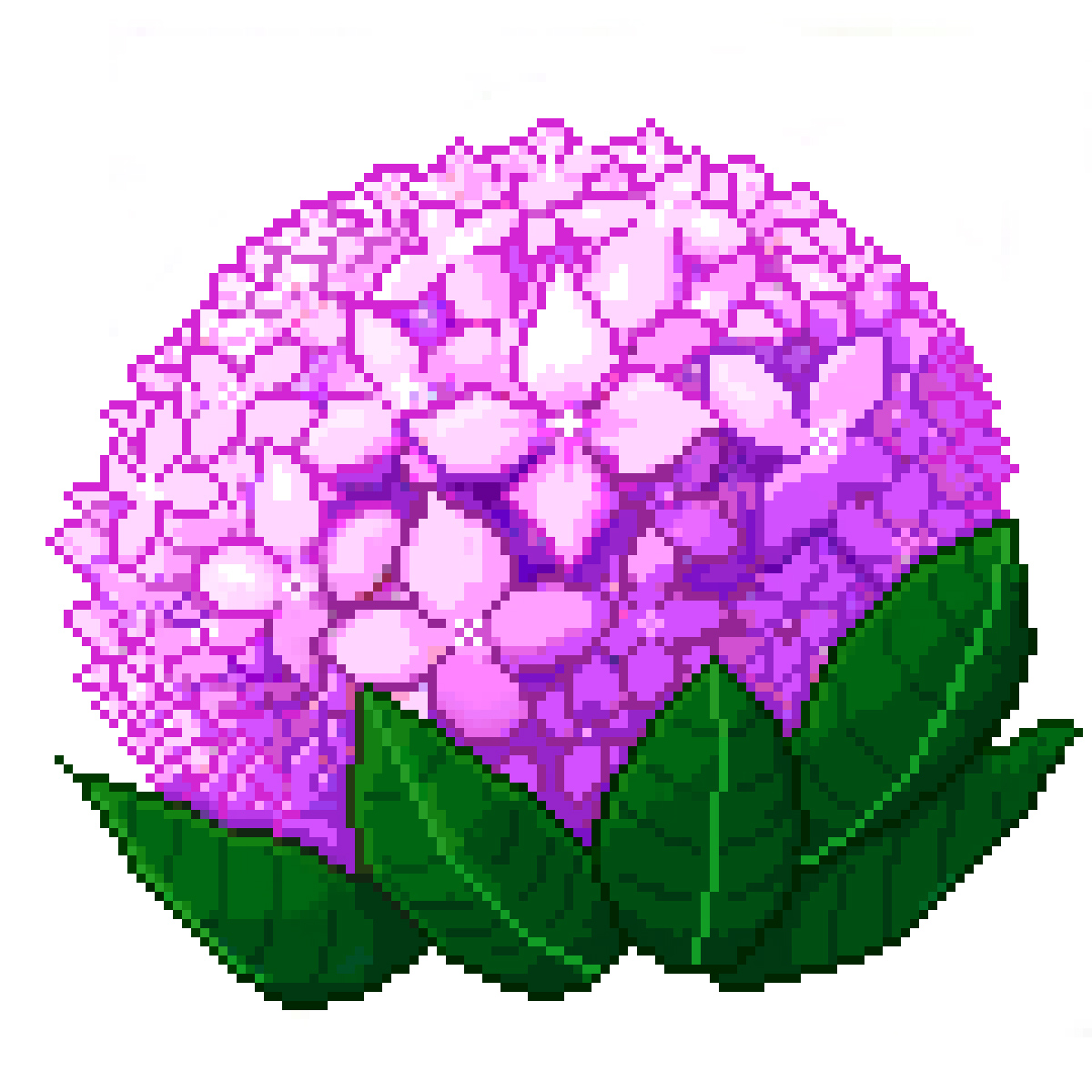アジサイ (120px)