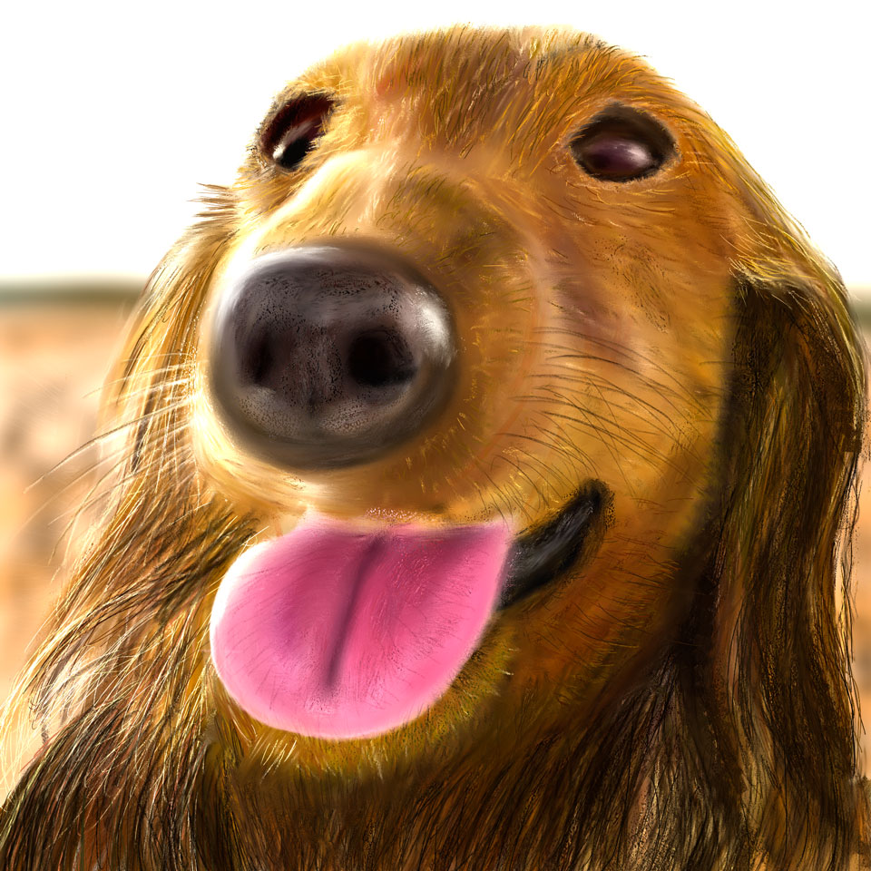 犬